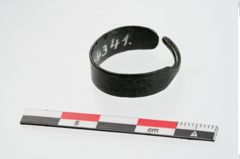 Foto von Bronzebandohrring (NHMW-PRAE-024341)